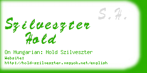 szilveszter hold business card